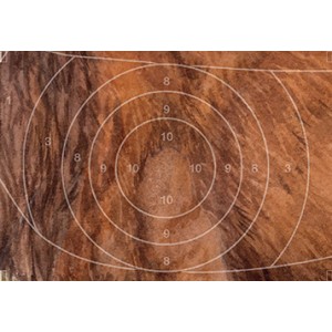 Ersatzzentrum zu DJV 9, Hirsch links