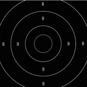 Ersatz zu P-Schnellfeuerscheibe SSV/ISSF, 25 m, Karton