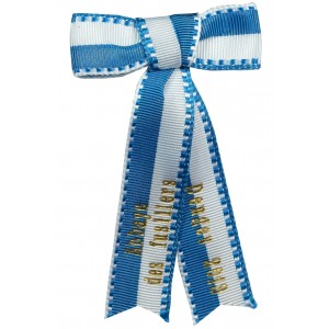 Schleife zu Zweig zum Anstecken (zusätzlich)