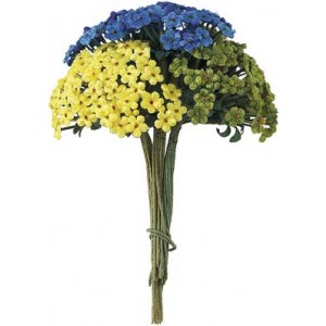 Vergissmeinnicht in Samt, verschiedene Farben