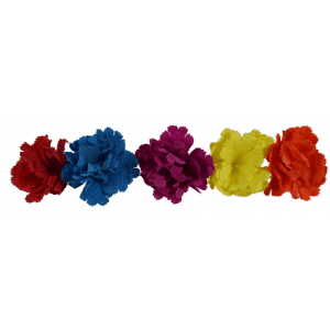 Krepp-Nelken, Ø 8 cm