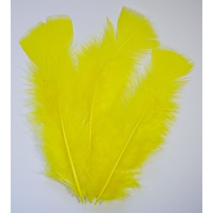 Schmuckfeder, mittel, 7 - 13 cm, 100 g