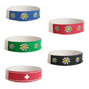 MASTER-Kontroller mit Motiv, 25.5 x 1.8 cm